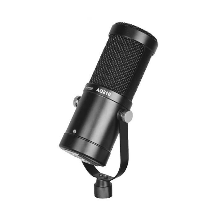 AQ210 Condenser Stüdyo Profesyonel Kayıt ve Yayın Mikrofonu Studio