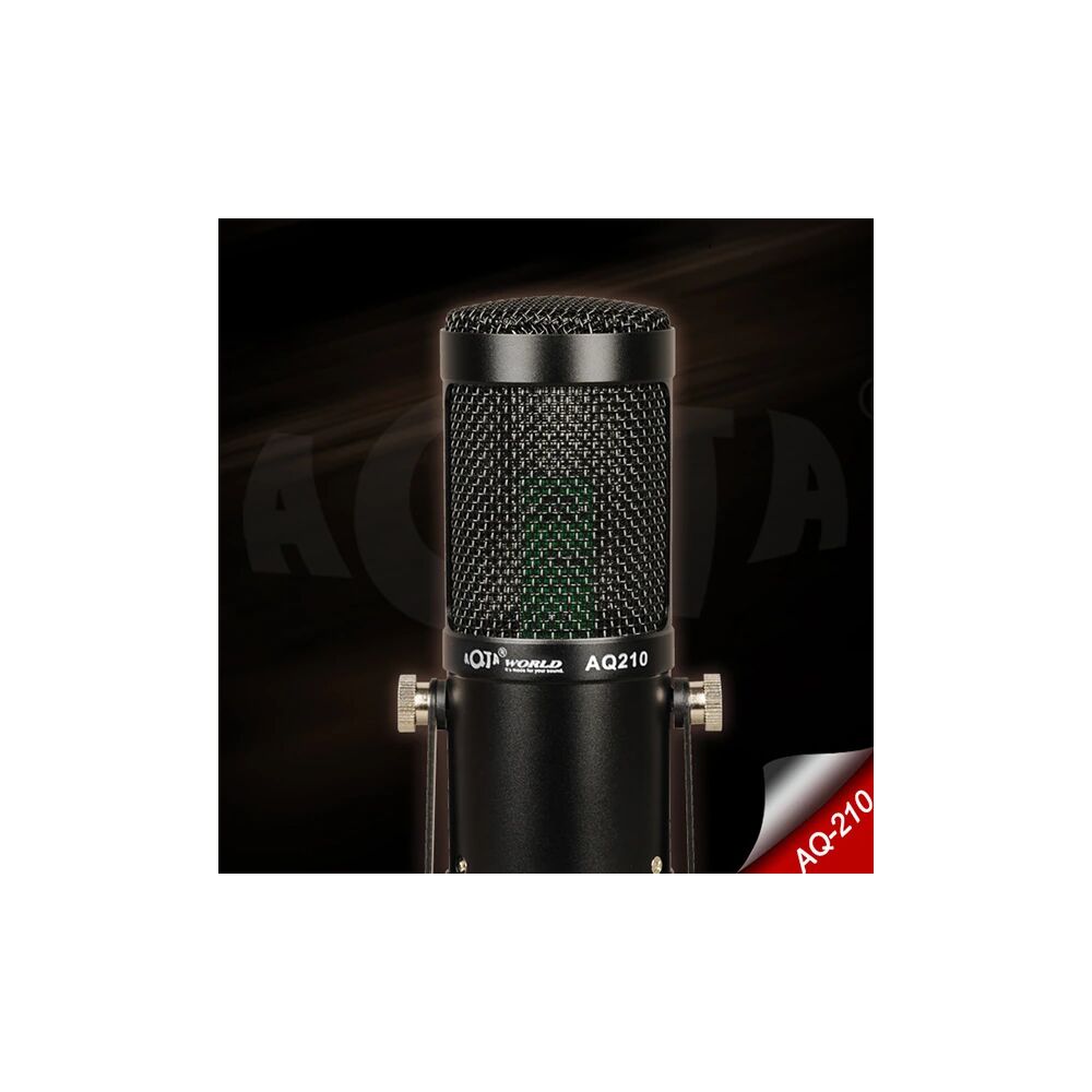 AQ210 Condenser Stüdyo Profesyonel Kayıt ve Yayın Mikrofonu Studio