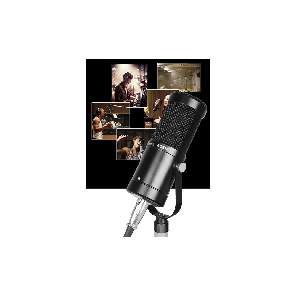 AQ210 Condenser Stüdyo Profesyonel Kayıt ve Yayın Mikrofonu Studio