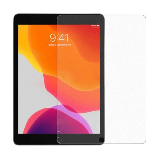 ALLY iPad 10.2 Paper Like Film Darbe Emici Pet Ekran Koruyucu (2021-20