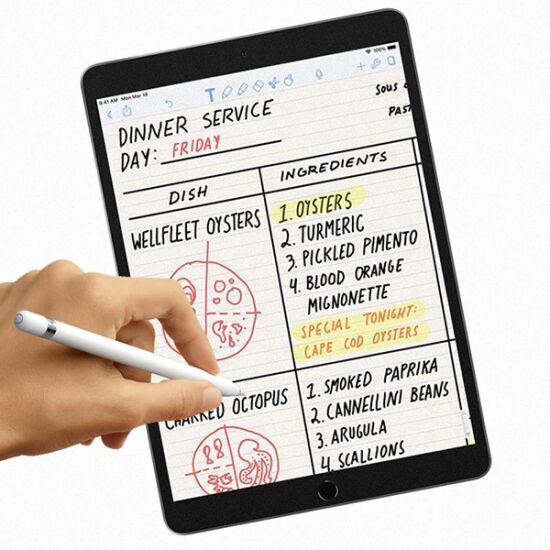 ALLY İPad Pro/Air 310.5 İnch Paper Like Film Darbe Emici Pet Ekran Kor