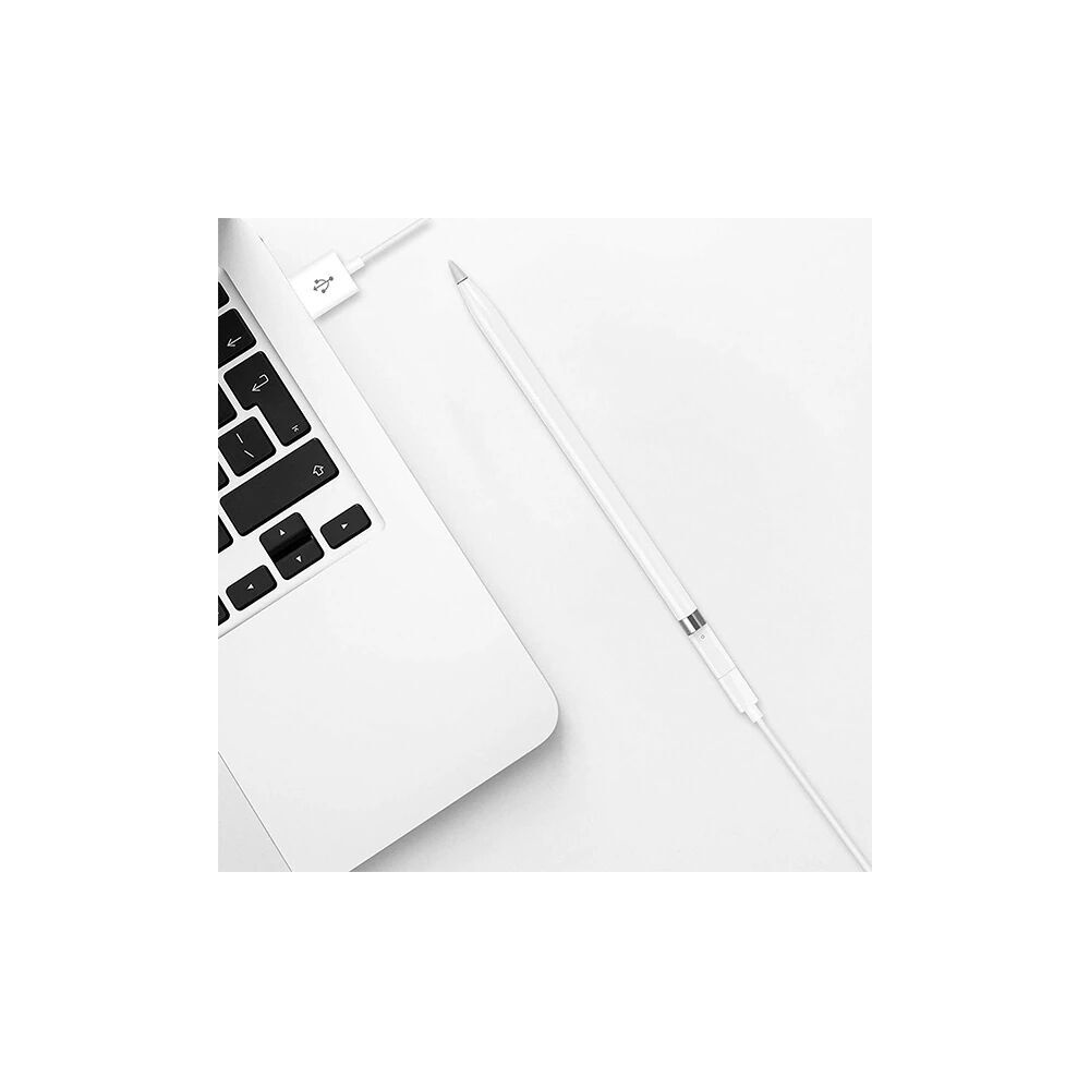 Ally Apple Pen Pencil Kalem Usb Şarj Cihazı Lightning Adaptörü